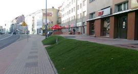 zdjęcie nr 14