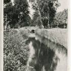 Fotka nr 1 z 12