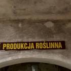 zdjęcie nr 19