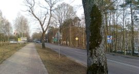 zdjęcie nr 7