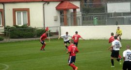 zdjęcie nr 8
