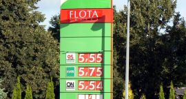 Fotka nr 5 z 7