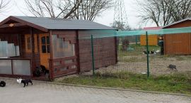 Fotka nr 5 z 6