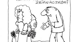zdjęcie nr 22