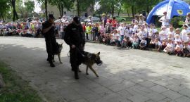 zdjęcie nr 20