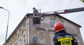 Fotka nr 2 z 4