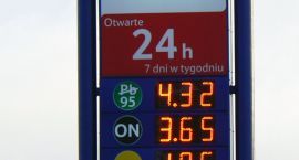 zdjęcie nr 7