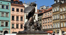 zdjęcie nr 8