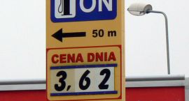 zdjęcie nr 8