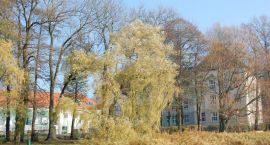 zdjęcie nr 11