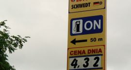 zdjęcie nr 10