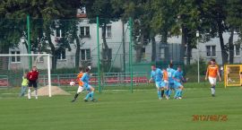 zdjęcie nr 13