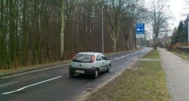 zdjęcie nr 7