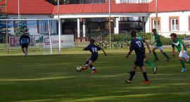 zdjęcie nr 10