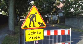 Fotka nr 2 z 3