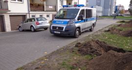 Fotka nr 1 z 5