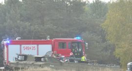 zdjęcie nr 9