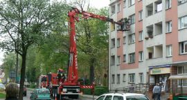 Fotka nr 1 z 7