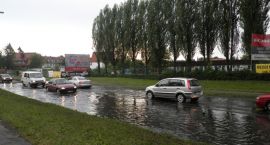 zdjęcie nr 15