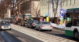 zdjęcie nr 7