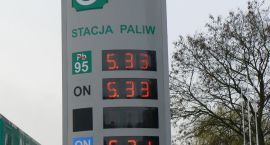 zdjęcie nr 7