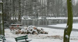 zdjęcie nr 13