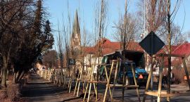 zdjęcie nr 8