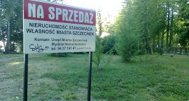 Fotka nr 1 z 6