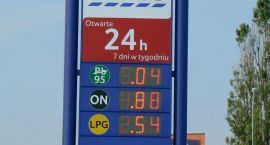 zdjęcie nr 7
