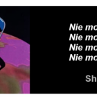 Fotka nr 3 z 4
