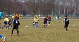 zdjęcie nr 19