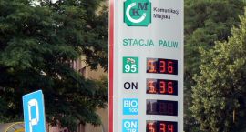 zdjęcie nr 3