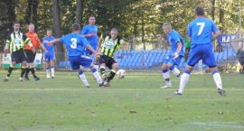 zdjęcie nr 12