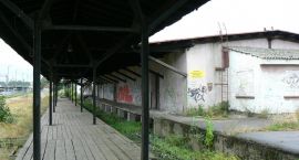 zdjęcie nr 8