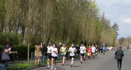 zdjęcie nr 14