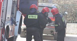 Fotka nr 5 z 6