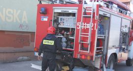Fotka nr 2 z 6