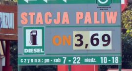 Fotka nr 1 z 7
