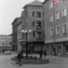 zdjęcie nr 8