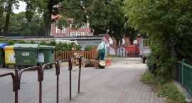 Fotka nr 2 z 3