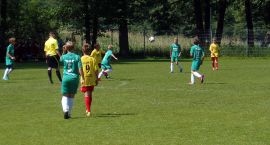 zdjęcie nr 8