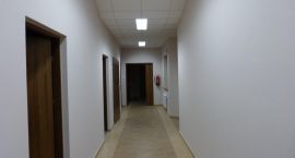 zdjęcie nr 11