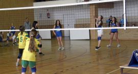 Fotka nr 5 z 8