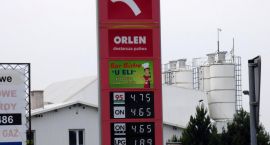 zdjęcie nr 10