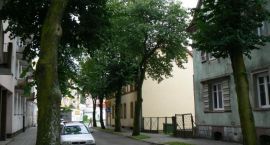 zdjęcie nr 11