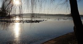 Fotka nr 1 z 4