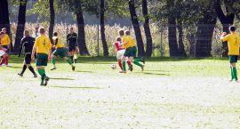 zdjęcie nr 21