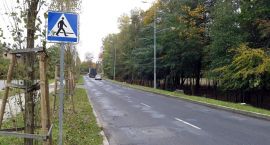 zdjęcie nr 14