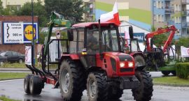 zdjęcie nr 7