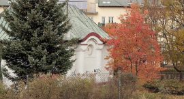 zdjęcie nr 7